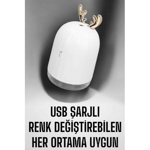 Aromaterapi Hava Temizleyici Buhar Makinesi Taşınabilir Şarjlı