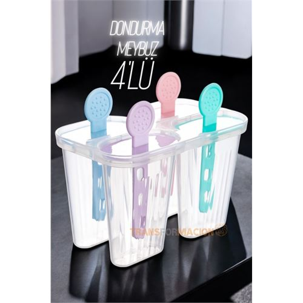 HSNET 4 lü Dondurma Kalıbı Meybuz Kalıbı