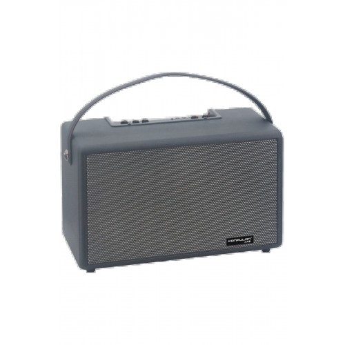 F32 2x50W Sürücülü 2 Adet Mikrofonlu BT 5.2 Kablosuz Hoparlör - Siyah-(5796)