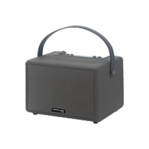 F31 50W Sürücülü 2 Adet Mikrofonlu BT 5.2 Kablosuz Hoparlör - Siyah-(5796)