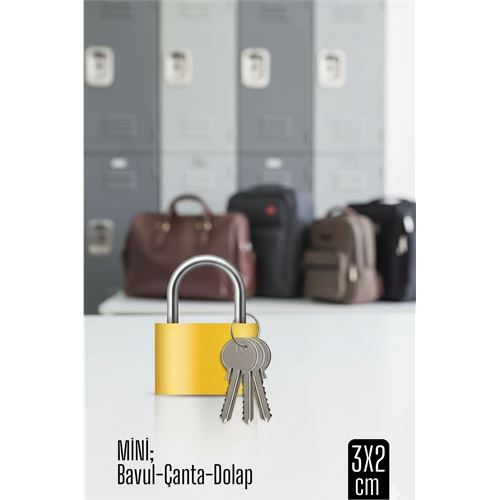 Mini 20mm Bavul ve Çanta Asma Kilidi – 3 Anahtarlı Dolap ve Seyahat İçin Güvenli
