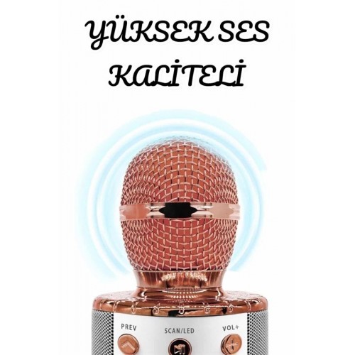 Şarjlı ve Uzun Pil Ömürlü Karaoke Mikrofon USB Bellek Destekli Profesyonel Ses Şarjlı ve Uzun Pil Ömürlü Karaoke Mikrofon USB Bellek Destekli Profesyonel Ses