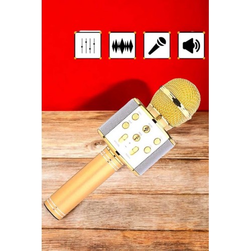 Şarjlı ve Uzun Pil Ömürlü Karaoke Mikrofon USB Bellek Destekli Profesyonel Ses Şarjlı ve Uzun Pil Ömürlü Karaoke Mikrofon USB Bellek Destekli Profesyonel Ses